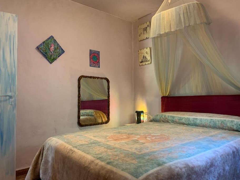 科爾多瓦La Casita Del Rio Guadiato别墅 外观 照片